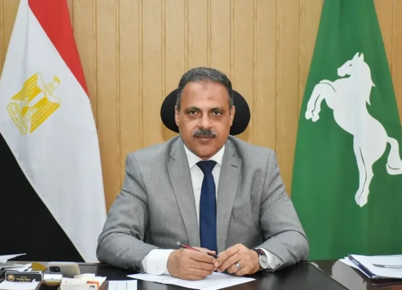 مصر 2030