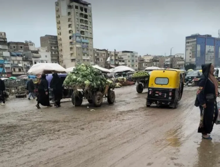 مصر 2030