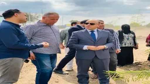 محافظ الغربية يشهد زراعة 120 شجرة بطريق برما–بسيون بمركز طنط