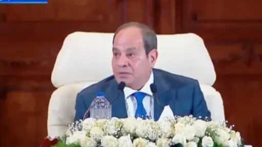الرئيس السيسي: محطات الكهرباء لم تكن للتنمية فقط.. بل لتثبيت الدولة المصرية