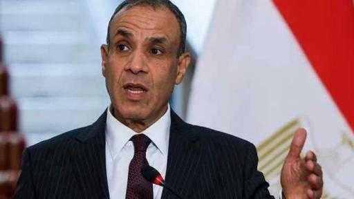 وزير الخارجية: موقف مصر واضح تجاه الاعتداءات على الدول الشقيقة