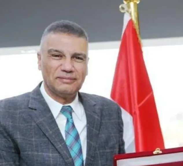 محافظ أسوان