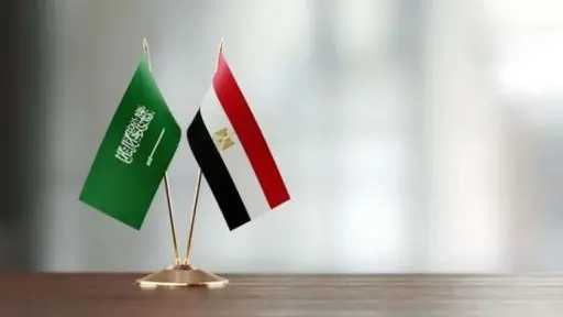 رئيس لجنة العلاقات الخارجية بمجلس النواب: العلاقات المصرية السعودية تقوم على تكامل استراتيجي وثيق
