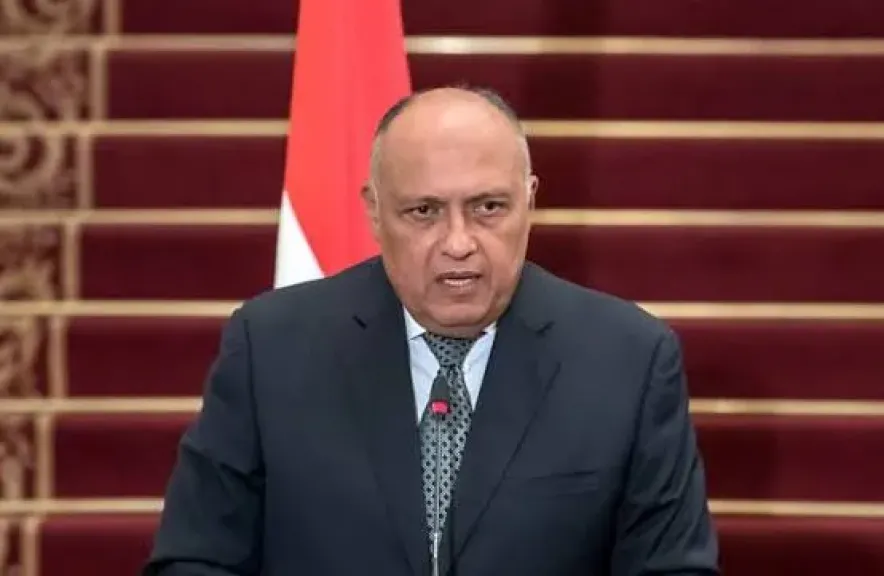 السفير سامح شكري