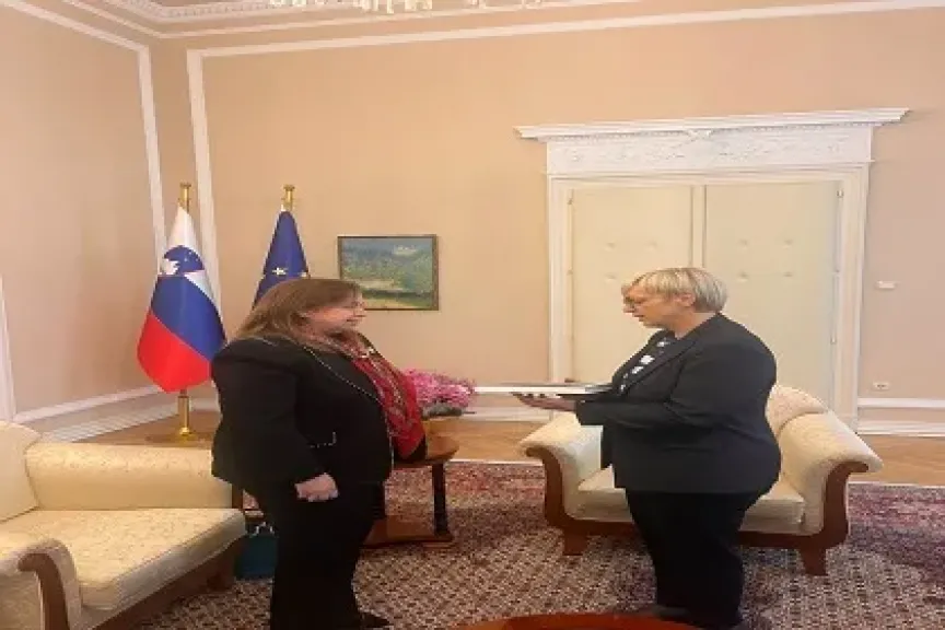 جانب من الاستقبال