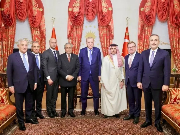 وزير الخارجية يلتقي الرئيس التركي