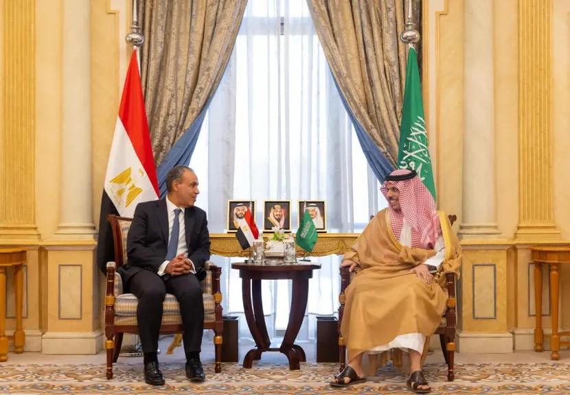وزير الخارجية و نظيره السعودي