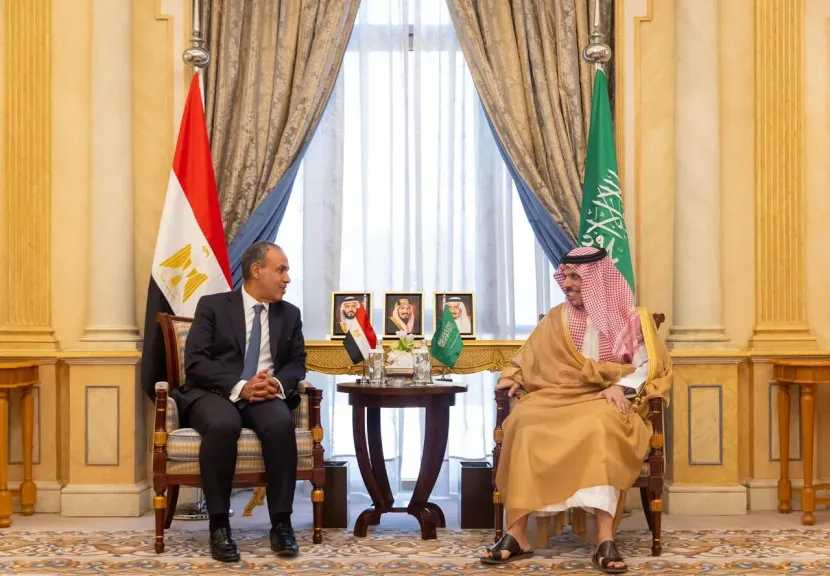 وزير الخارجية يبحث مع نظيره السعودي مستجدات الأوضاع الإقليمية