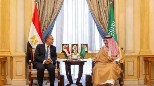 وزير الخارجية يبحث مع نظيره السعودي مستجدات الأوضاع الإقليمية