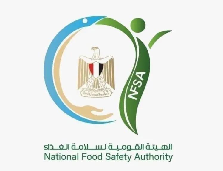 مصر 2030