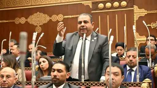 مقترح برلماني لمواجهة تشغيل الأطفال بالمزارع.. وتطوير آليات... مقترح برلماني لمواجهة تشغيل الأطفال بالمزارع.. وتطوير آليات الوصول للأسر الأكثر احتياجا