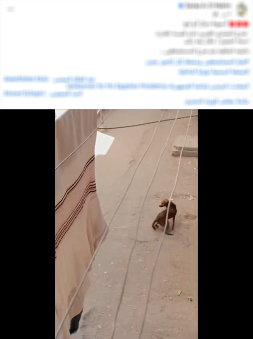 8600dfd898a8.jpeg