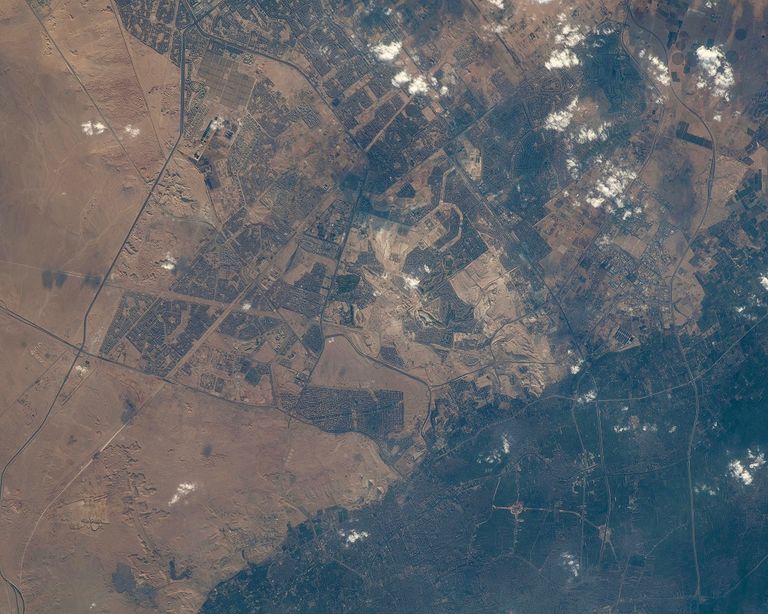 d1774ecdacd7.jpg
