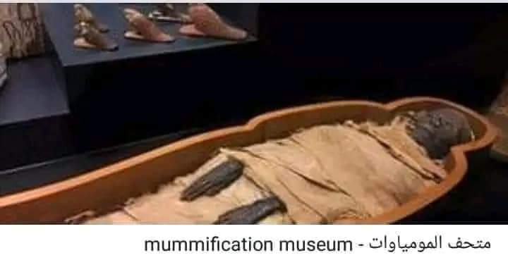 1ebb8fdaf684.jpg